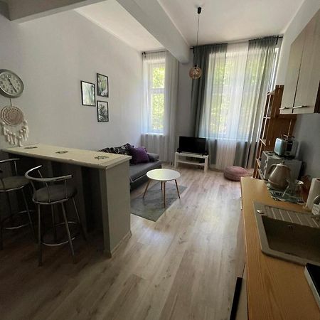 ידלינה-זדרוי Apartament Snooze מראה חיצוני תמונה