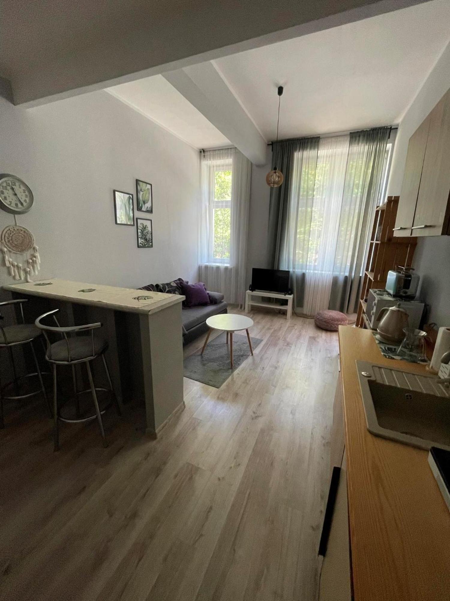 ידלינה-זדרוי Apartament Snooze מראה חיצוני תמונה